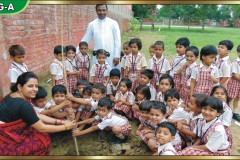 Tree Plantation